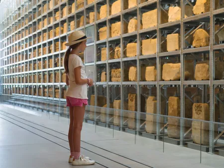 Une fille observe des blocs de pierre exposés dans un musée lumineux.